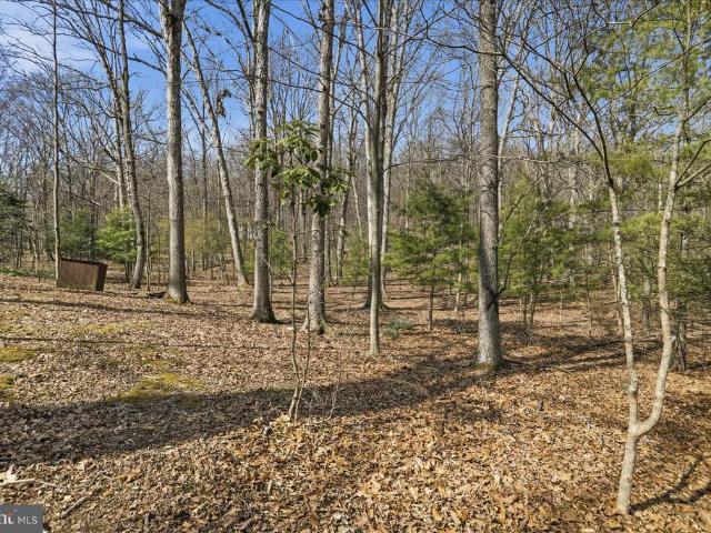 House for sale in Hardy, West Virginia