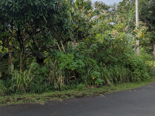Land for sale in Pahoa, Hawaii