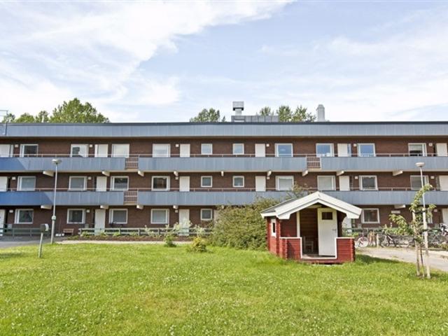 Lägenhet hyra i Umeå, Västerbotten