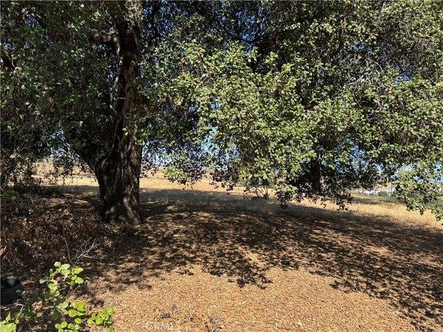 Land for sale in Calimesa, California