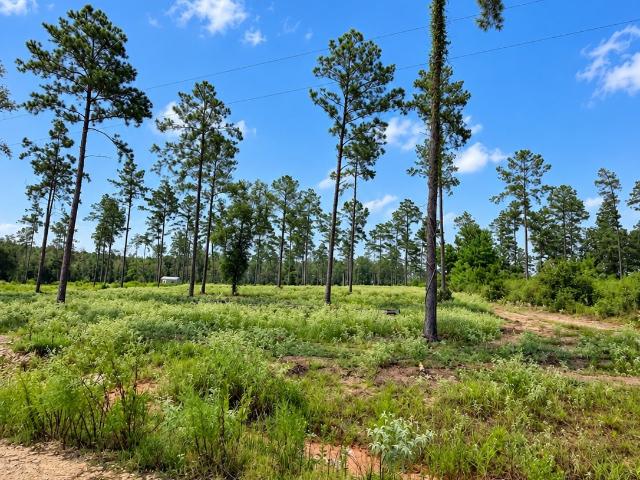 Land for sale in Polk, Texas