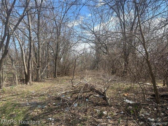 Land for sale in Pontiac, Michigan