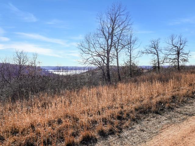 Land for sale in Tennessee