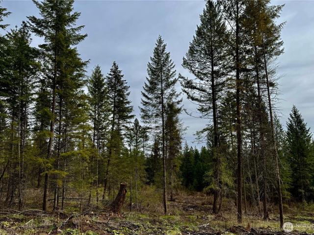 Land for sale in Fruitland, Washington