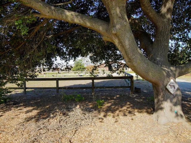 Land for sale in Hollister