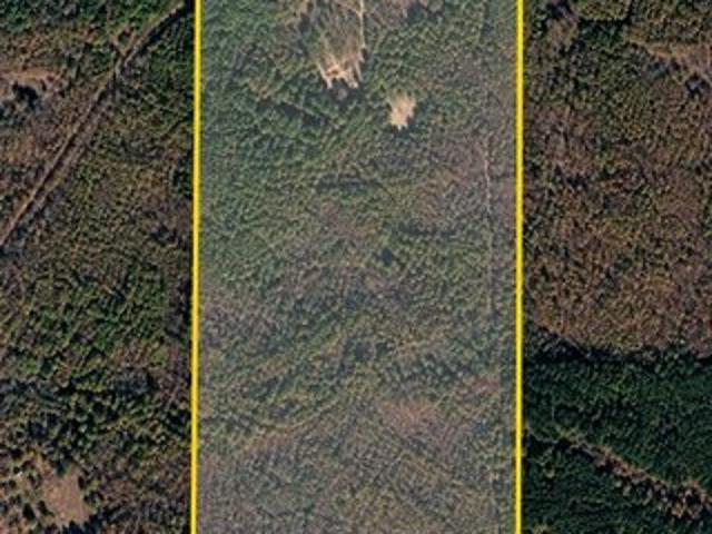Land for sale in Talco, Titus County