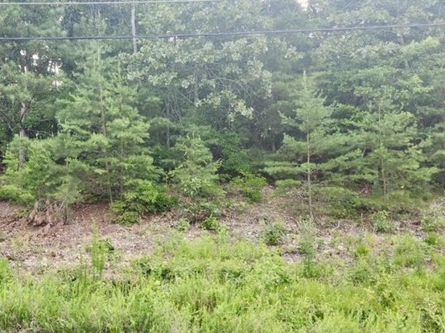 Land for sale in Tennessee