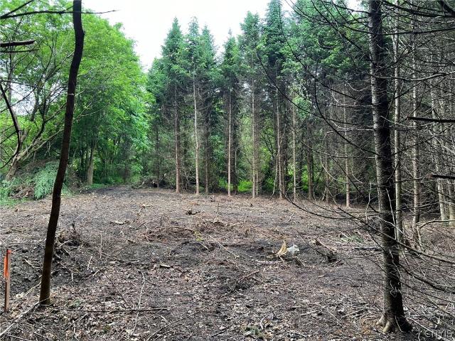 Land for sale in La Fayette, New York