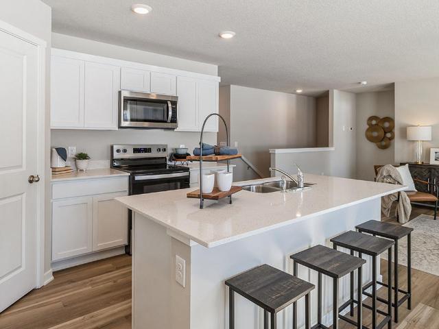 House for sale in Cottage Grove, Minnesota