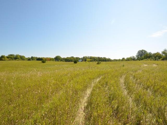 Land for sale in Delano, Wright County