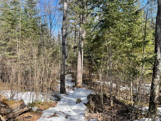 Land for sale in Biwabik, Saint Louis County