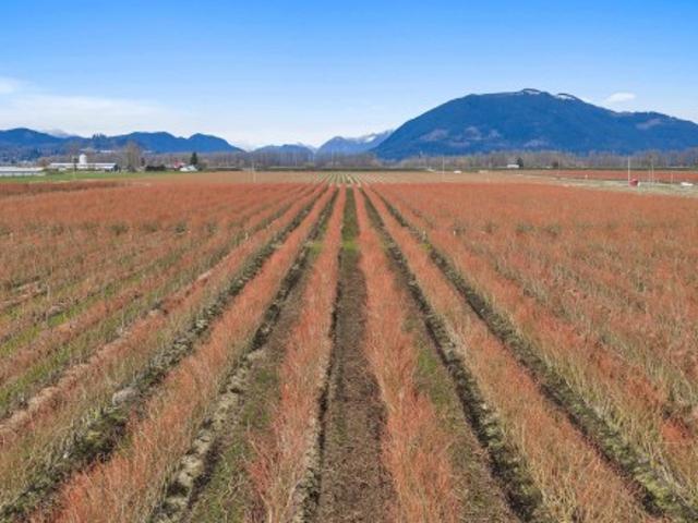 House for sale in Abbotsford, British Columbia