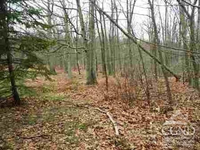Land for sale in Pine Plains, New York