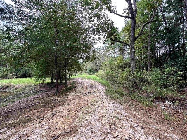 Land for sale in Fred, Tyler County