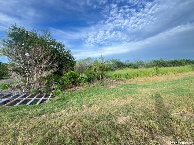 Land for sale in Bee, Texas