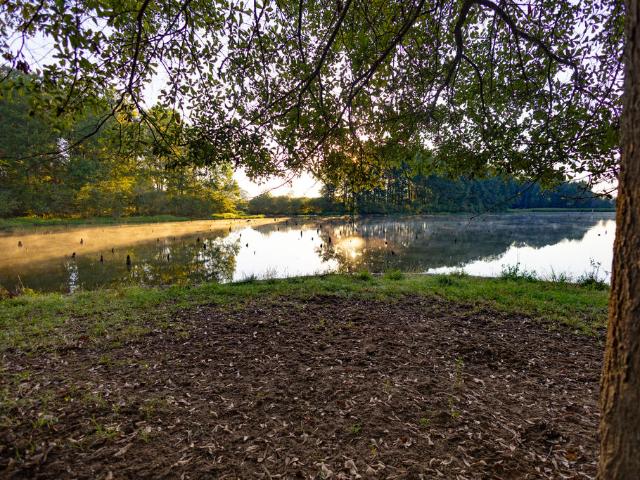 House for sale in Broad View, Brundidge