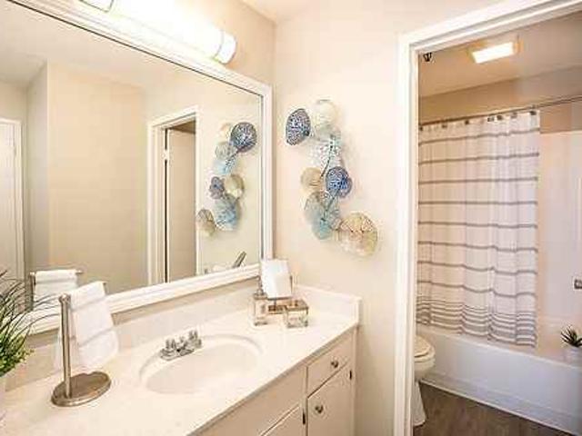 Apartment for rent in Sunnyvale, California