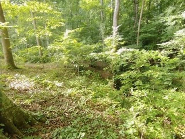 Land for sale in Nicholson, Georgia