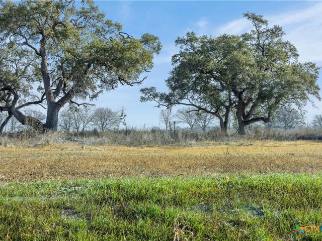 Land for sale in Martindale, Texas