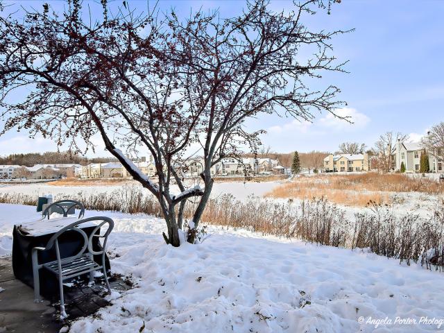 Property for sale in Fox Lake, Illinois