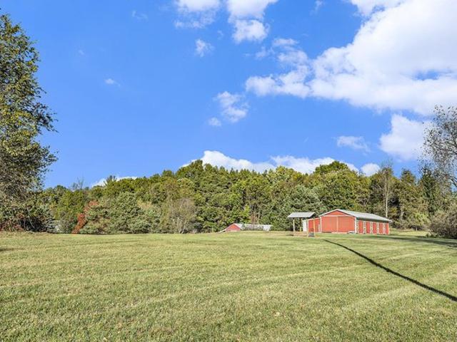 Land for sale in Belmont, Michigan
