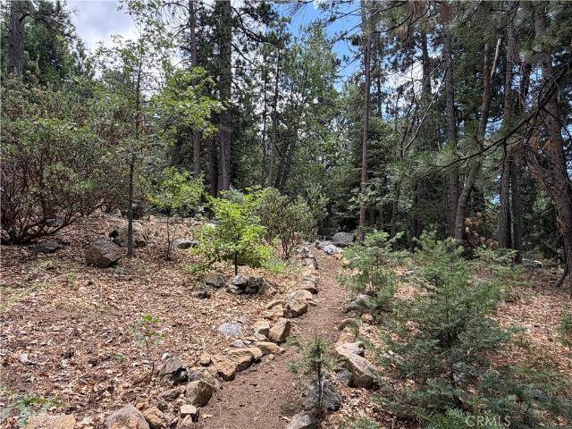Land for sale in Angelus Oaks, California