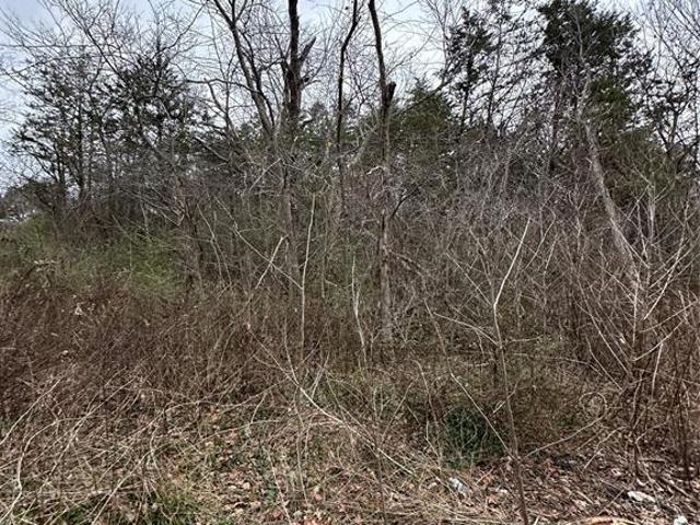 Land for sale in Denison, Grayson County