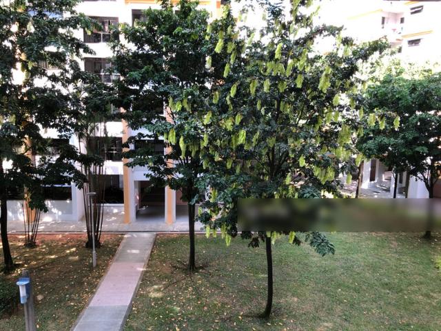 Apartment for sale in 05 South West