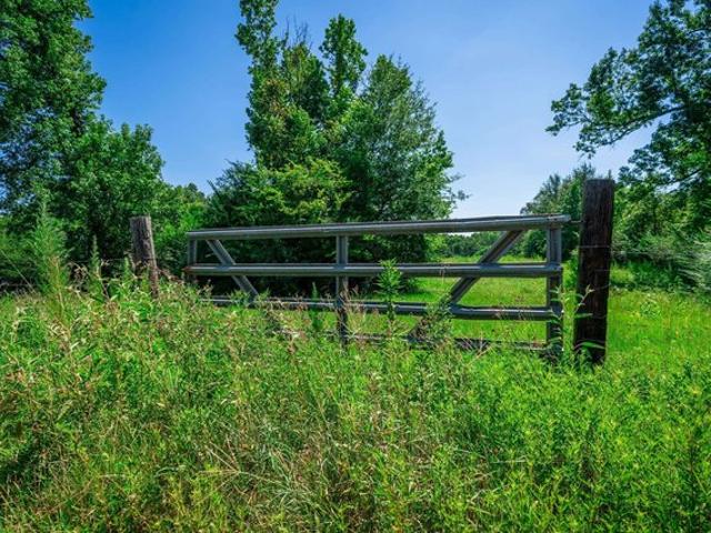 Land for sale in Shelby, Texas
