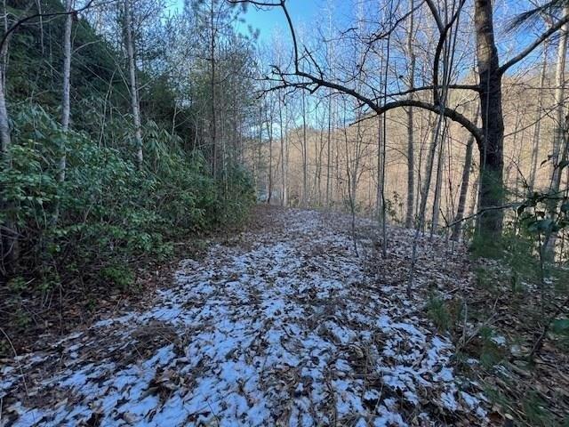 Land for sale in North Carolina