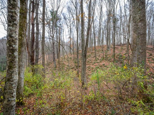 Land for sale in Virginia