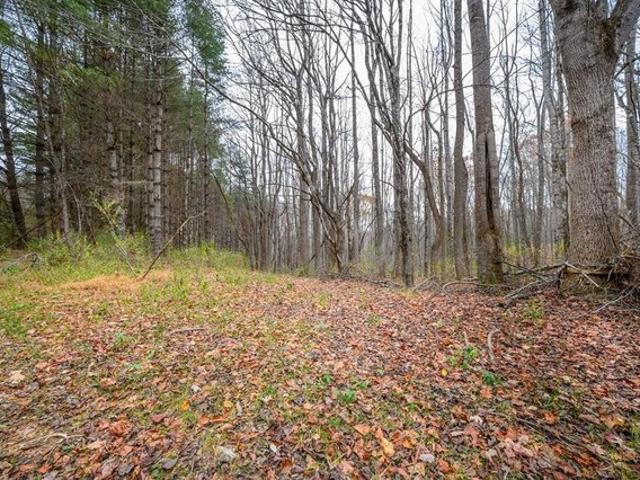 Land for sale in Virginia