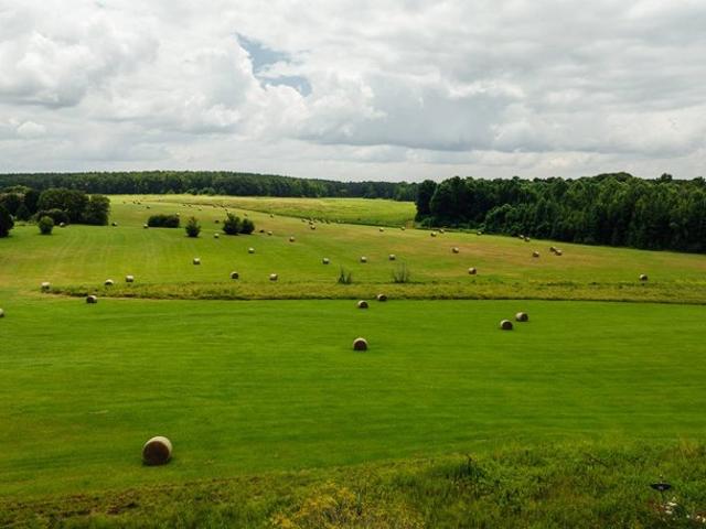 Land for sale in Winston, Mississippi