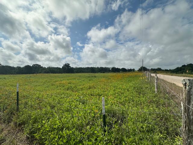 Farm for sale in Cat Spring, Texas