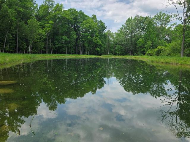 Land for sale in Conesus, New York
