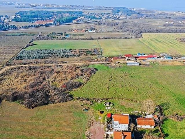 Çiftlikköy, Yalova içerisinde satılık Dükkan