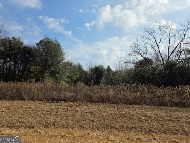 Land for sale in Dougherty, Georgia