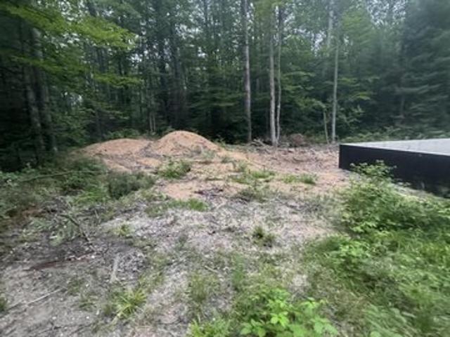 Land for sale in Frederic, Michigan