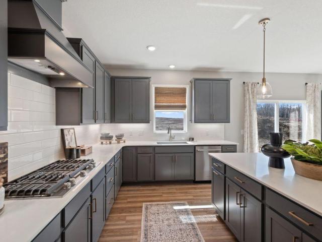 House for sale in Cottage Grove, Minnesota