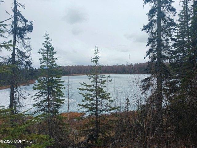 Land for sale in Wasilla