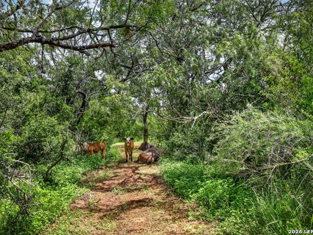 Farm for sale in Wilson, Texas