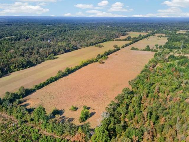 Land for sale in Reklaw, Texas