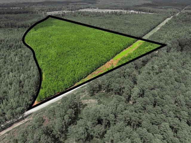 Land for sale in Edgefield, South Carolina