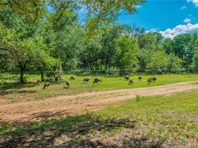 Land for sale in Milam, Texas