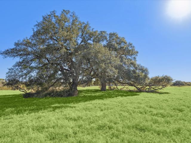 Farm for sale in Fayetteville, Texas