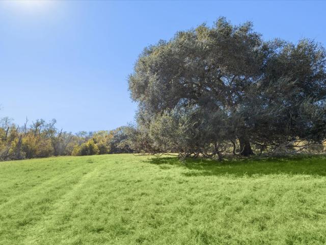 Ranch for sale in Texas