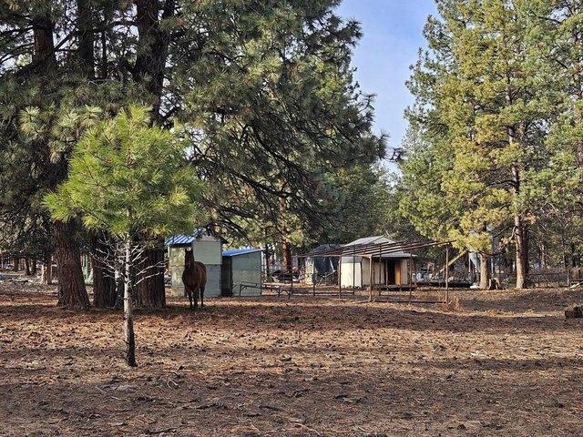 Land for sale in Oregonia