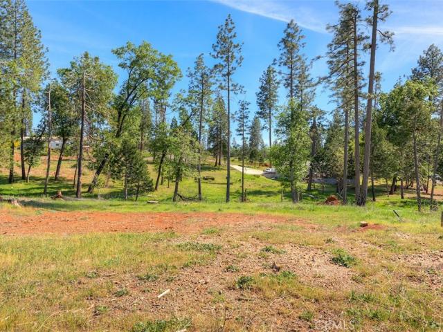 Land for sale in Butte, California