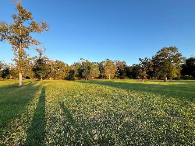 Land for sale in Sweeny, Texas