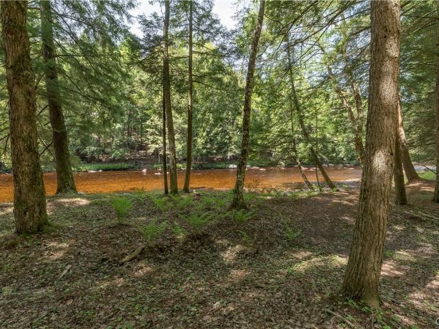 Land for sale in Brantingham, New York
